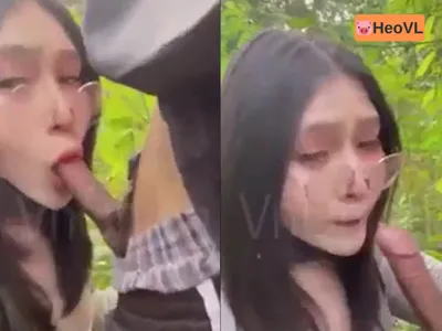 đi dã ngoại tiện phang gấu ở trong rừng