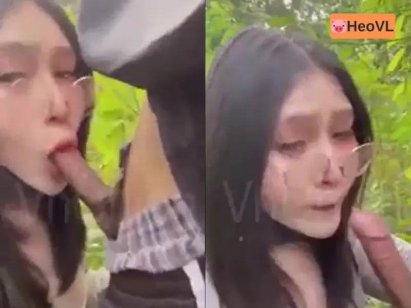 đi dã ngoại tiện phang gấu ở trong rừng